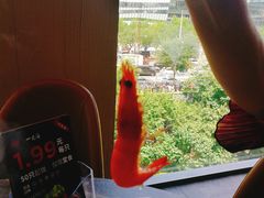 -日进一片海.生腌海鲜火锅.宵夜烧烤(三里屯总店)
