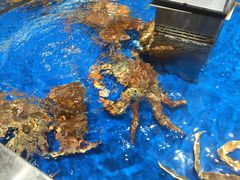 -盒马鲜生(顺义店)