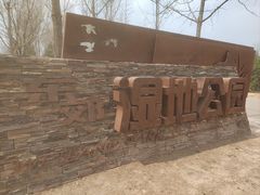 -东郊湿地公园