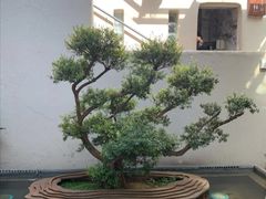 -怡得观滇餐厅·地道昆明菜·1996(海埂大坝店)