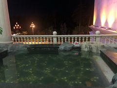 -金水鹤温泉国际酒店