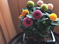 -和记小菜(名品店)