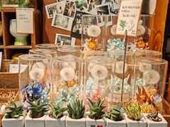 -知物癖(牛王庙店)