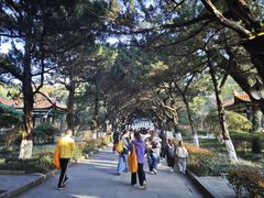 -南岳大庙