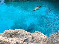 -珠海长隆海洋王国