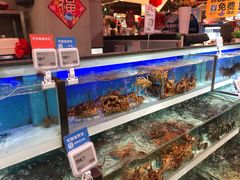 -盒马X会员店(王府井奥莱UP TOWN店)