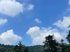 -上海鲜花港
