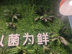 -菌乡缘·野生菌蒸汽鱼火锅(江边夜市店)