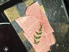 -然锅料理