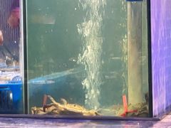 -曼格活海鲜·牛排自助(光明蓝鲸店)