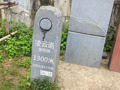 -梧桐山风景名胜区