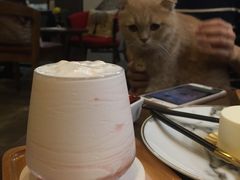 -咖法森林·咖啡  酒吧(天河店)