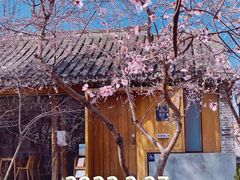-春风习习