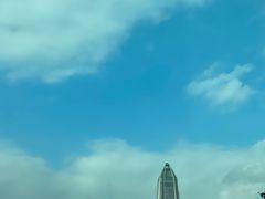 -Jungle Nat 高空餐厅
