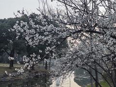 -蠡湖大桥公园