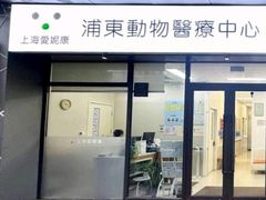 -爱妮康宠物医院·干细胞免疫细胞·肿瘤·心脏(张江店)