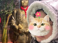 -湖南码头·地道岳阳美食·湘菜(魏公村店)