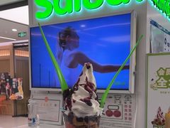 -Salud撒露欧洲冻酸奶(五道口购物中心店)