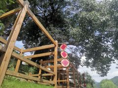 -新安江山水画廊风景区