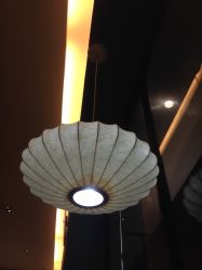 -和良形象