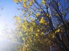 -中央广播电视总台(光华路办公区)