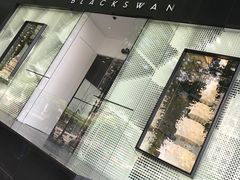 -BLACKSWAN黑天鹅(环球店)