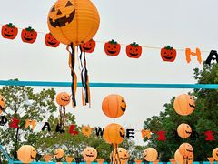 -海合安武汉极地海洋公园