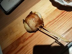 -鳥焱商店(王府大街店)