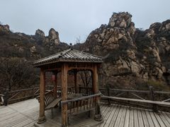 -大岭沟猕猴桃谷风景区
