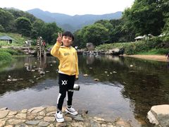-广州市石门国家森林公园