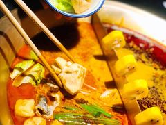 -九鼎轩脆毛肚火锅(南京东路店)