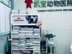 -悦宠凯宝动物医院·牙科·皮肤科(朝阳北路店)