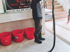 -荔城生鲜盛宴(番禺旗舰店)