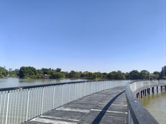 -海珠湖公园