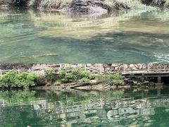 -边城茶峒景区