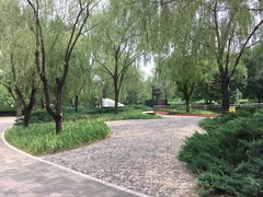 景点-朝阳公园