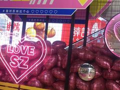 -天虹购物中心(石路店)