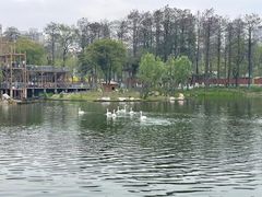 -武汉动物园