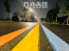 -羊山湖公园