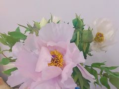 -循礼门鲜花花市(武汉循礼门店)