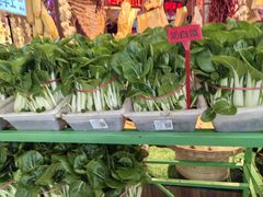 -老阿爸鲜鱼土菜(园区永旺店)