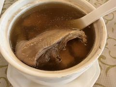 -百利鸽王(紫薇路店)