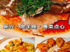 -新兴·金羊座·粤菜点心(乐峰店)