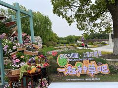 -上海鲜花港