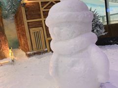 -世界之窗阿尔卑斯冰雪世界