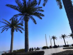 -天和楼·精致太湖酒家(太湖店)