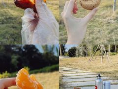 -马峦山郊野公园