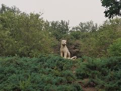 -北京世界公园