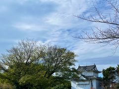 -名古屋城