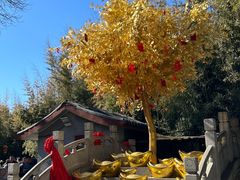 -红螺寺